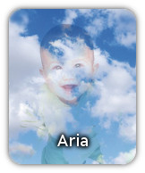 aria